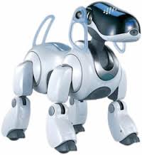 高知県 ロボット