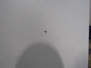 案内ロボット 本体に汚れ