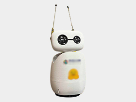 Reachy Mini Wireless